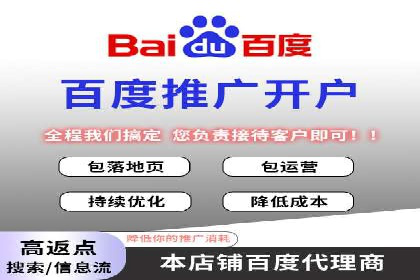 百度竞价与搜索引擎优化（SEO）结合的经典案例